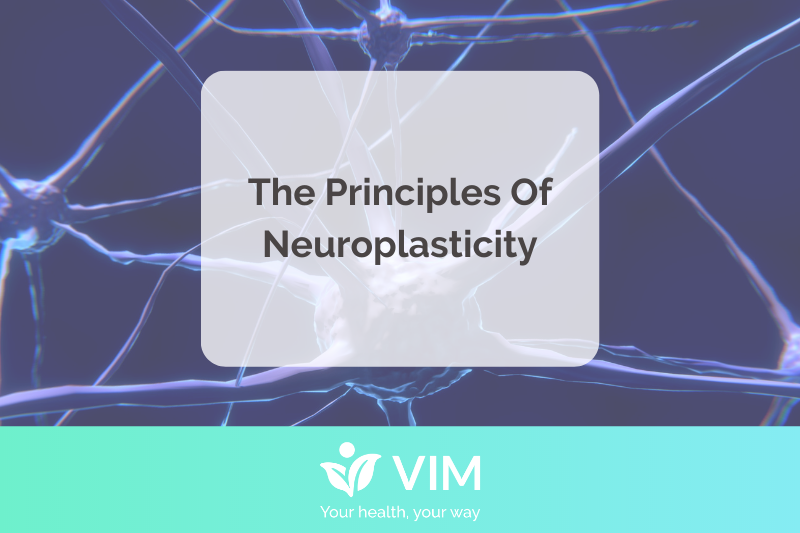 Neuroplasticity