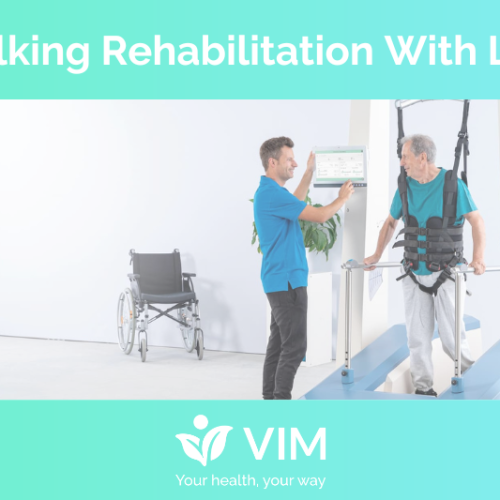 Vim Blog Title Graphic - walking rehabilitation with Lyra