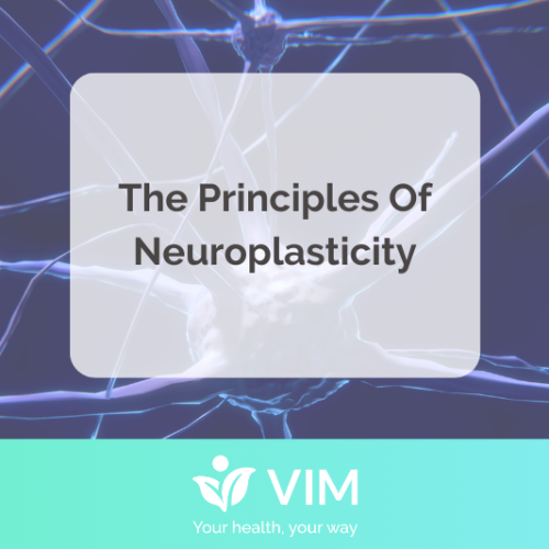 Neuroplasticity